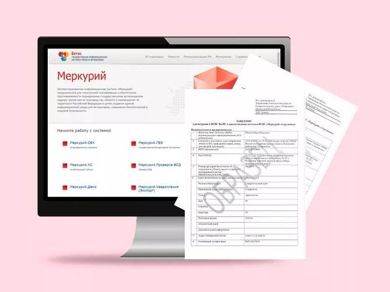 ��� ������������������ � ���� �����ѻ � �������� ������ � ���������� ���������