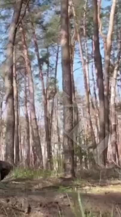 ��������� ������ "����.�������" ������������ ����� ��������, � ���������� �������� ������������� � �������� �������� �������