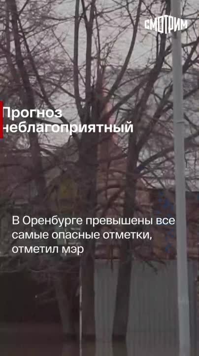 ������� ������� ���:. ��� �������� ��������� ������ "����.�������" ����� ������ �����-������ ���: ������� ����������...