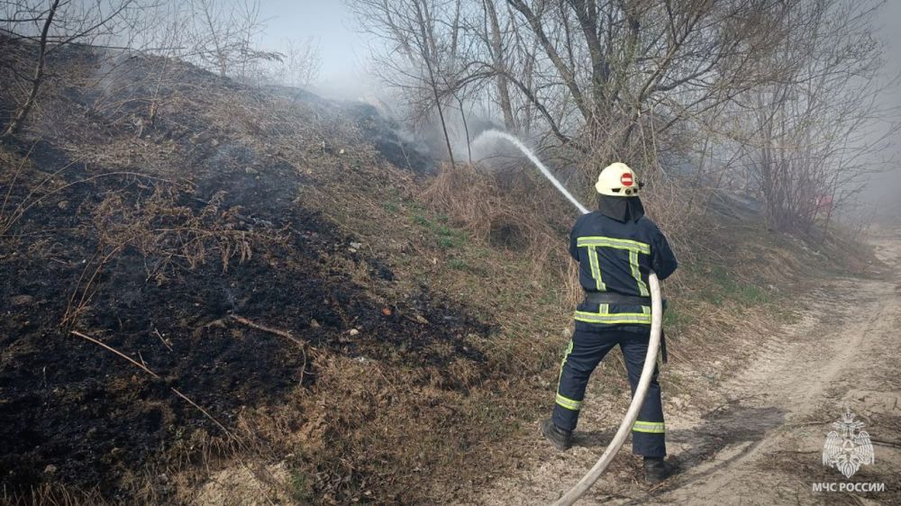 9 ������ � ���������� ������������� 36 ����������� ������� � ���