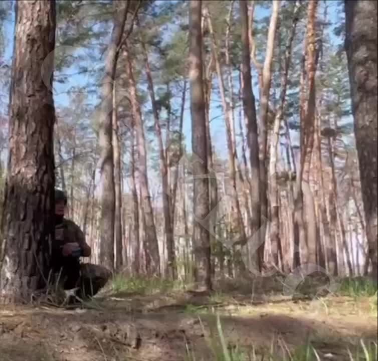 ����� ��������� ����� �������� ��� ���������, � ���������� �������� ���������� �� ������������� ����� � �������� ���