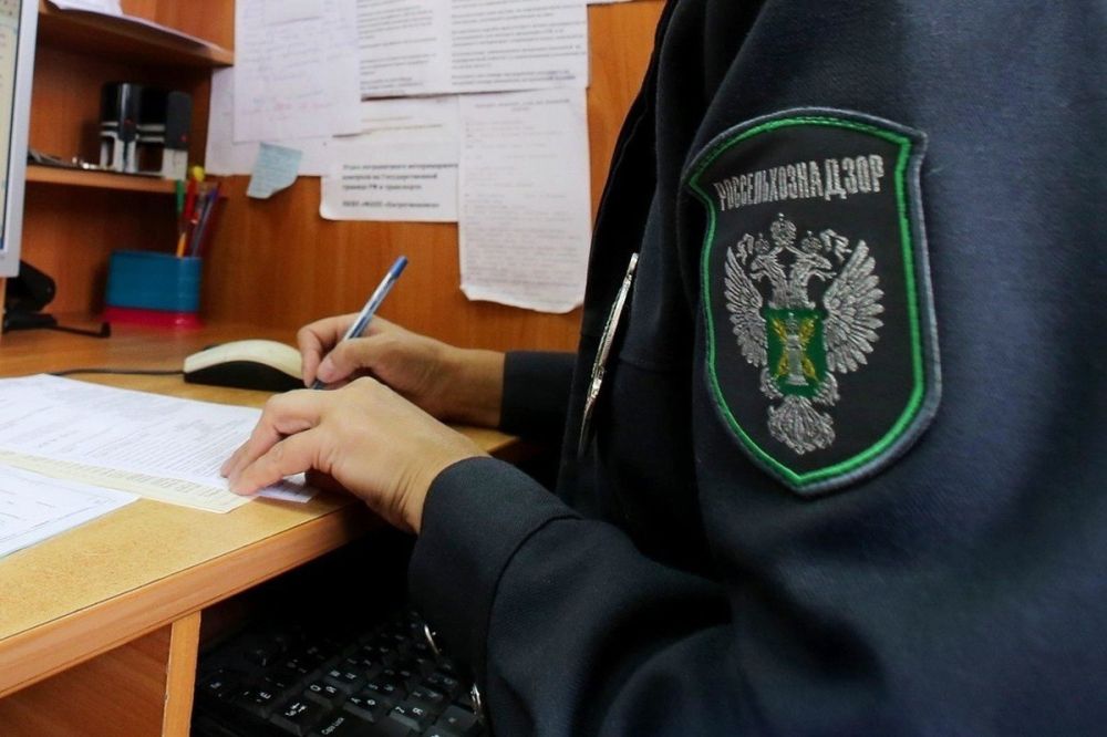 ���������� ����������� ���������������� �������