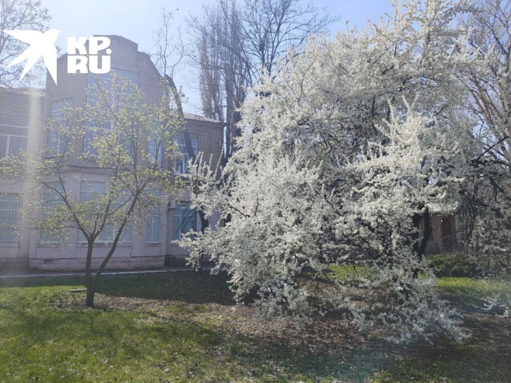 � ��� ��������� �� 30 �������� �����