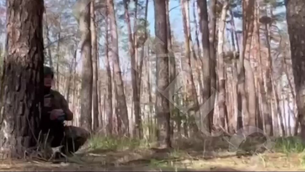 ������ �����-������ ���������� �� ������� ��������� ����� � ���������� ����� ��� � ������ ���������