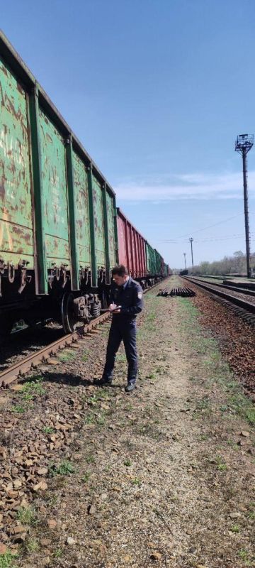 �������� ������������ �� ��������������� �������� ���� ��������� ������ ���������Ȼ