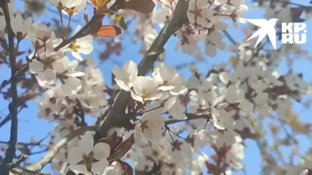 �������� ��������. ��������� ���� ����� � ������ ��������� ������ �������� �������