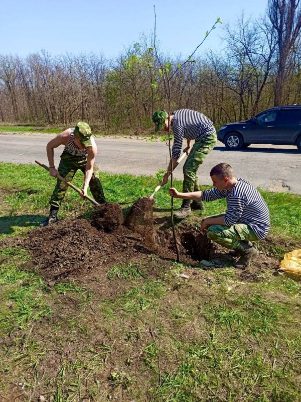 Луганские кадеты продолжают оказывать помощь в благоустройстве и озеленении столицы нашей Республики