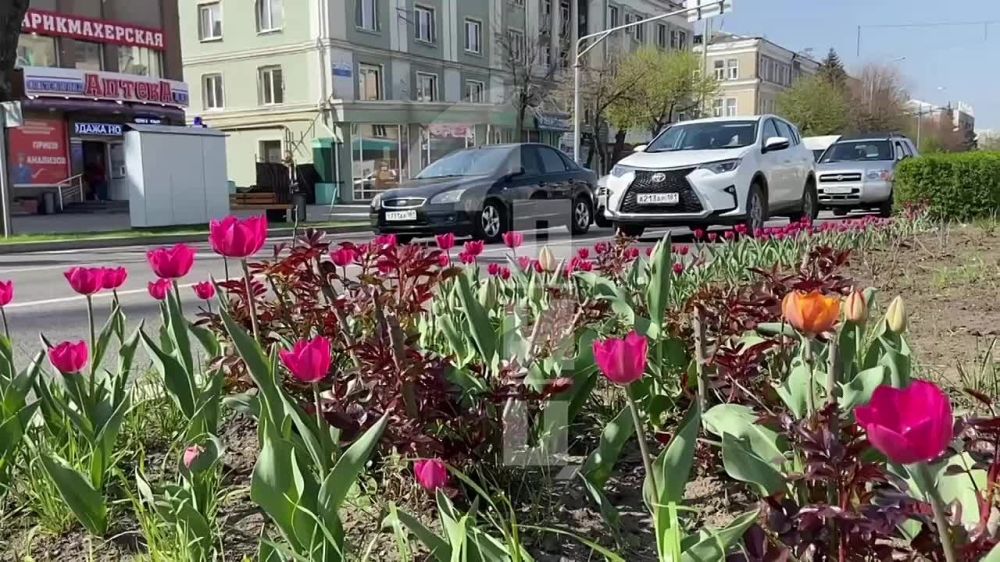 ���� ������ �� ��������� � ������ ��������, ����� ������������ ��� ����� ��� �������� �� ������ �� ����