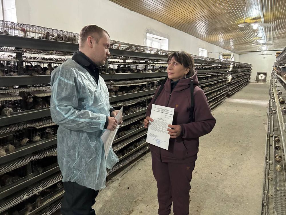 47 ���������������� ������� � ������� ������������� ������� ��������� ����������� ����������������� �� ��� � 1 �������� 2024 ����