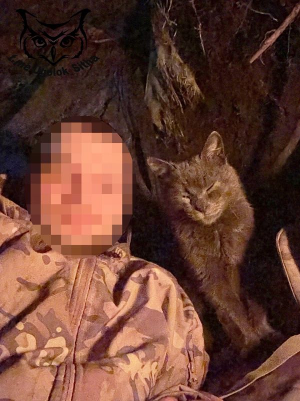 ��������� ���� ����� ���� ����� ������ �� ���������