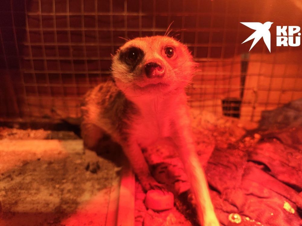 ������� ����. ���� ���� � ��������� � ��������. �� ���� ������ ��� ��������� �� ������ ������ � ������ ������