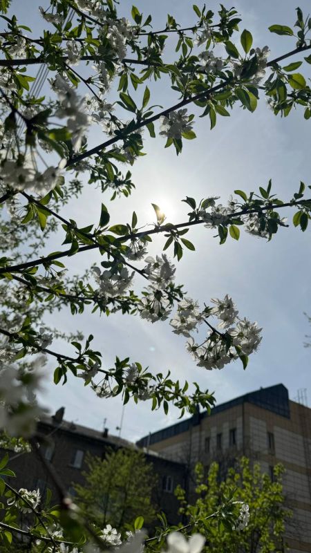 ����� �� ��������� � �������� ������� �����, �������� � ��� ����� ������� ��������