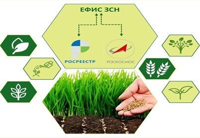 ���������� ���� "�����" � ���� ���: ��� ����� ����� ��������