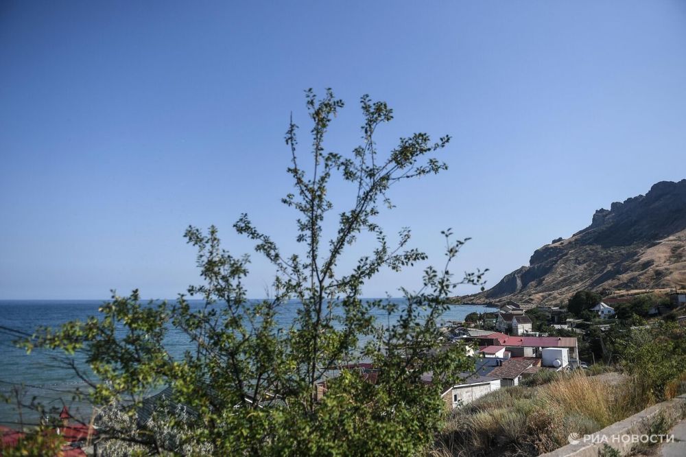 � ���� ���� � ����� �������� ������� � ������ �� ���