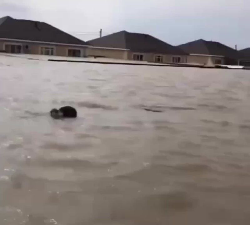 � ����������� ������������ ���������� ������ ���������� ������ �����, ������� ���������� �� �����