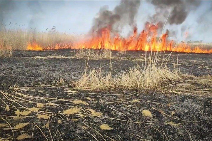 � ��� 18 ��������� ������� ������ ��������� 12 ������