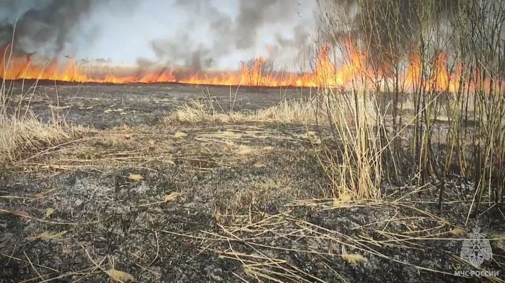 �� ��������� ����� �� ���������� ��������� �������� ���������� ���������������� 39 ����������� ������� � 18 ���������� ��������� � ���������� ( ����� �����, ����������, �����)