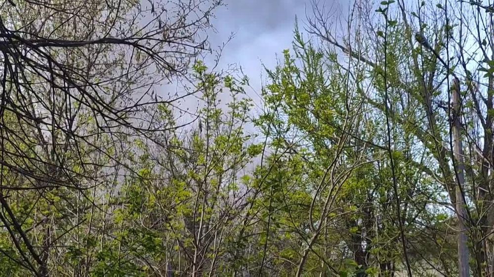 ��� ���������� �������, ��������������, ����� �������� Storm Shadow