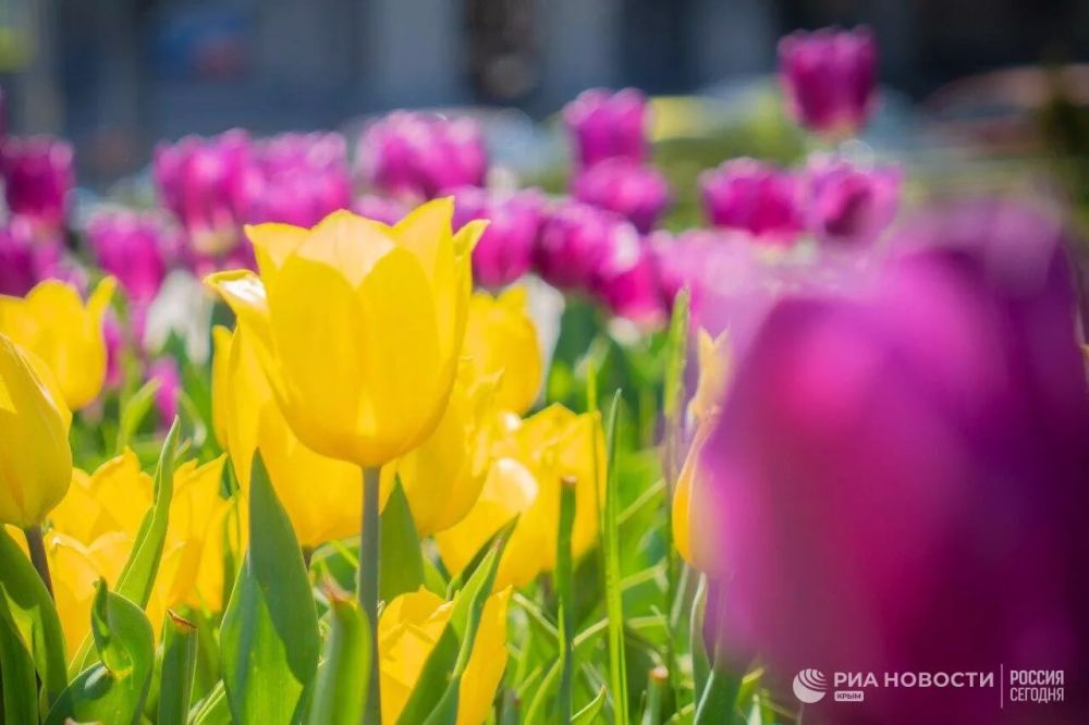 ������ �� ����� ����������� ������