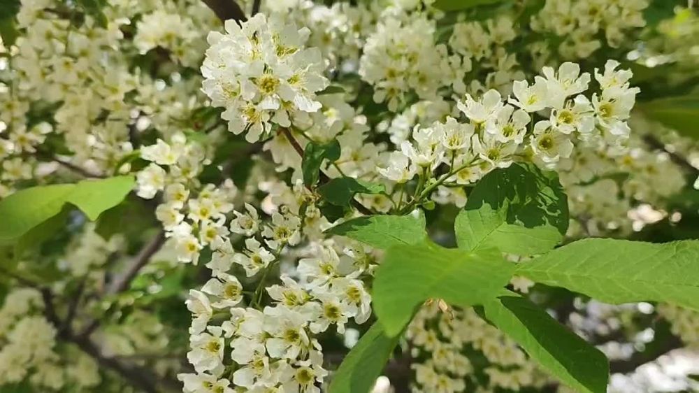 �������� �������. � �������� �� ������� ������������, � �� �������� ��������� ������, ���-����� ��������� ����