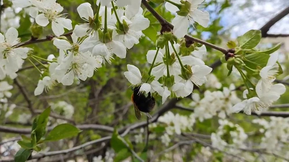 ����� �� �����. � ���� ���� ��� ������ �����. ����� �������� ��� ������ �������