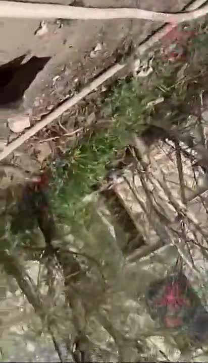 ���������� ���������� ������ �� ������������������� ������ � ��������