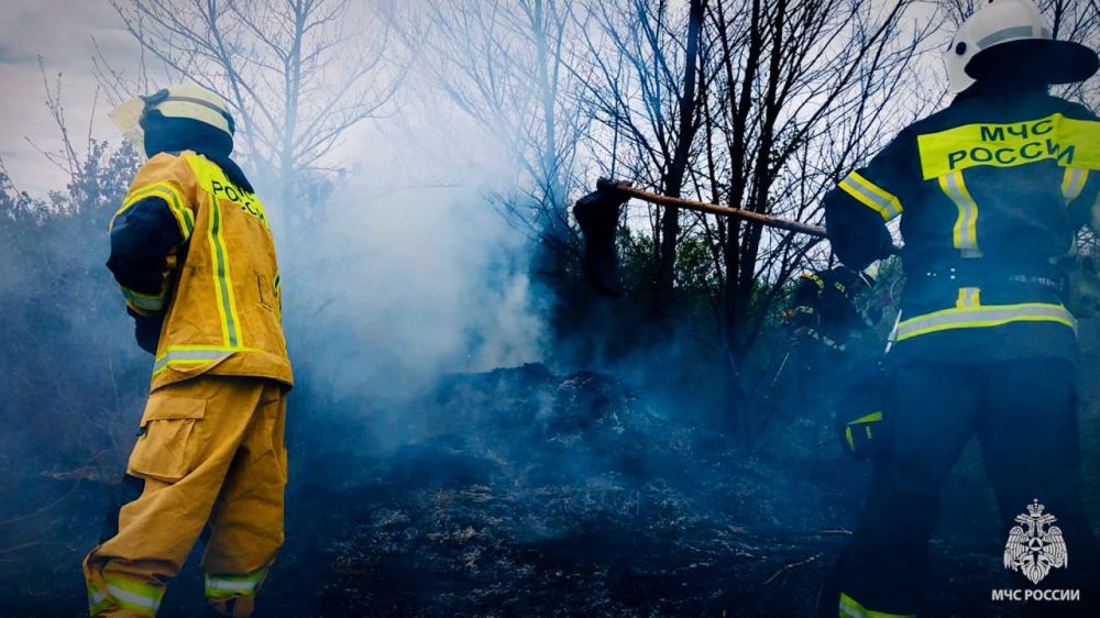 37 ������� � ��������� ����� ������������� �� �������� �������� � ���������� � ���