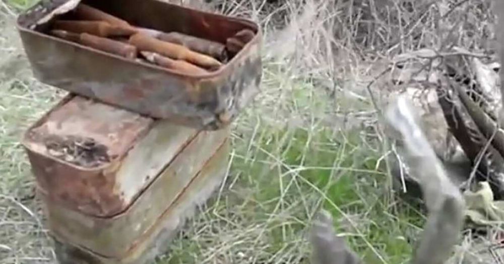 ������������ ���������� ������ ��� � ���������� � ����������� ��������