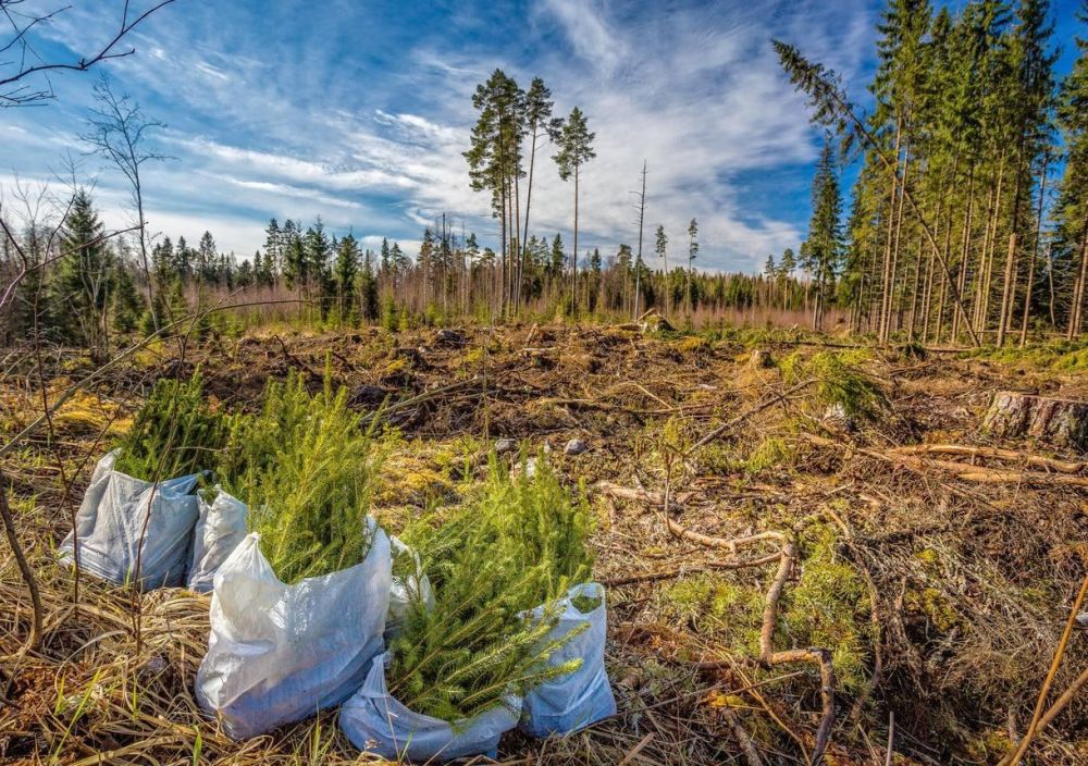 ����� �������������� ������������ ����� ���������� ����� ����� �����������