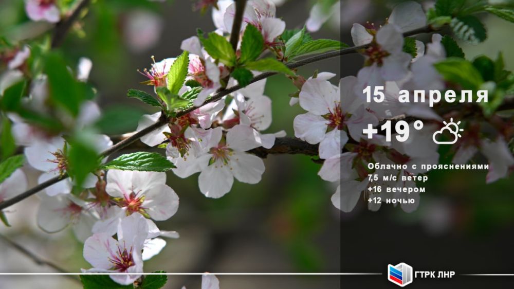 ������ ����, ��������� �������� ����������!