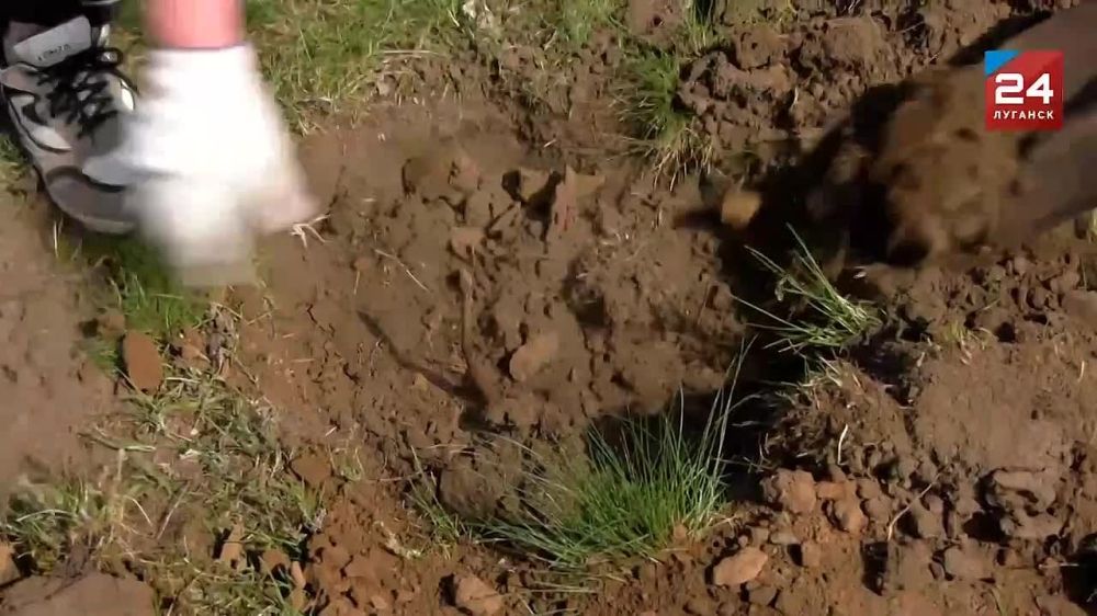 ��� ������ �� 40 �������� �������� � ���� �������� �������������� ������