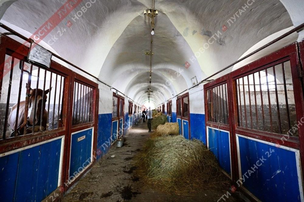 �� ���� ������������ ������� ������ ��������� ������ "��� ������ � ��� �����"