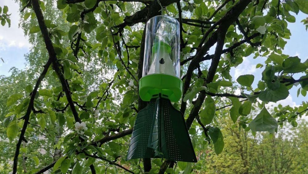 � ���� ����������� �� 2024 ��� �� ��������� �������� ���������� ������� �������������� � ���� �� ����������� �������� ��� �������������� ��������� ����������� ��������