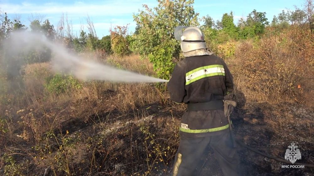 16 ������ ��������� ������������� 26 �������, �� ��� 19 � ���������� � ���������� � ���