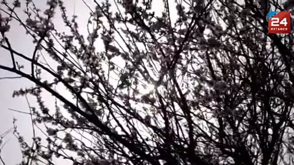 ����� ��� ����� ����������� � �������� ���������� ��������� ������? ����� ����������������� ������ ������� � �������?