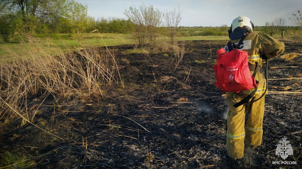 ����� ������, �� ����� ����� ������ �� ���������