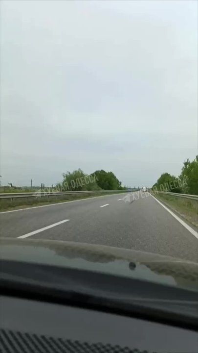 ���������� ������� ��������� �������� �� ������ ����� �������� ������ ������ �� ����������� �����������