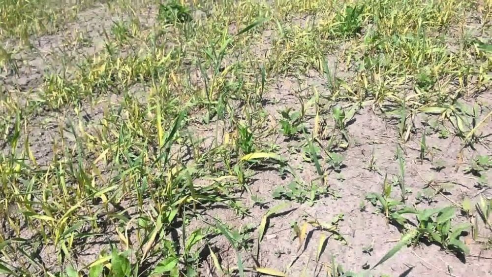 ������������� ����������� ����������