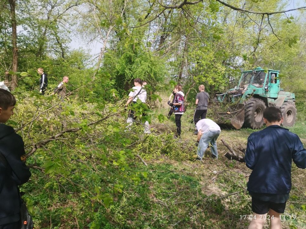 ������� ��������� ��������� ����������� �� ��������������� ������