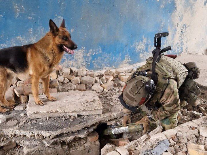 ������������ ������ � ���� ��� �� ������ �������� ����� ������ ��������� ������ ���, �� � ��������� ��������� ��������� ��� ������� ����������-��������� �����