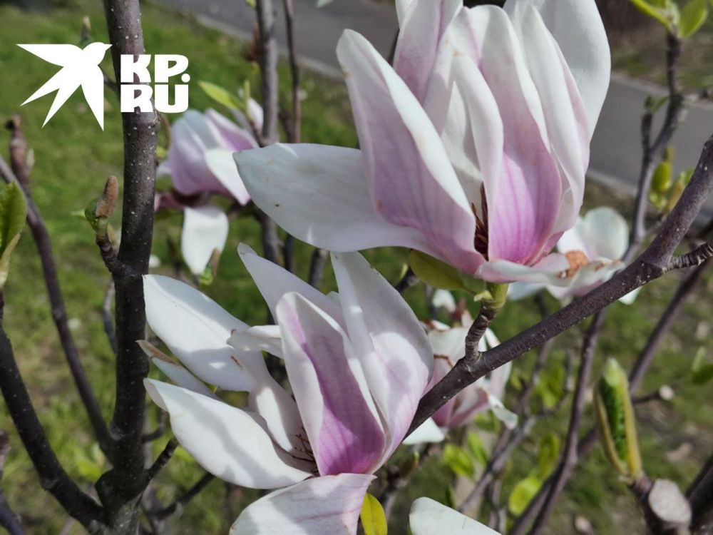 �������� � �����. � ����� ����� ������� ������� ������ ��������