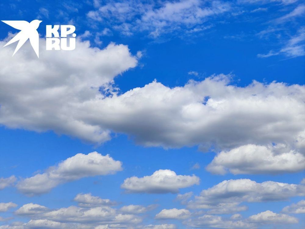 ����-������� ���� � ������� ����� ������ ������� �������� � ��������