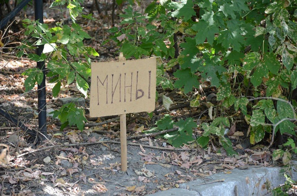 � ��� �� ����� ���������� 15 ������������� ���������