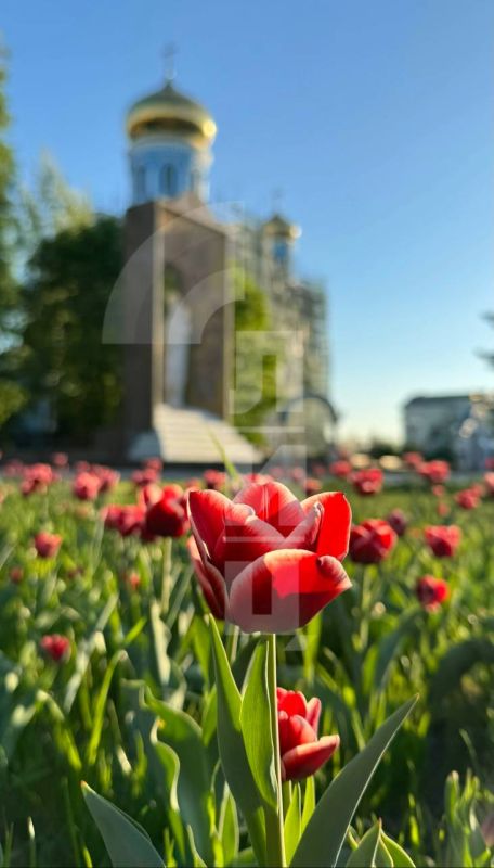 ������� ��� �� ����. ������� � ���� ���� �������� � ������ ��������� � ������������� ��������� ����� ���-���� ������������ ������ ������� ���� �������������, ����� ������� ����� ����� � ����� � �� �������� ��������������