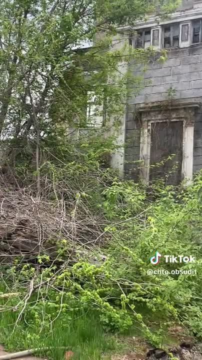 ������ ���������� ����������� �1 �� ����� ������ ����� �������������, ����������������� ���������� ������ �����