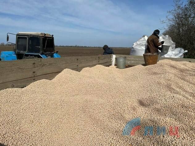 ��������� ������ �������� ����� ������� �������� ����������� �������� ��� ��������������������������� �������� � ����������