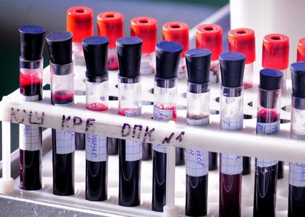 ����� 36 ���. ������� ��� � 2023 ���� ����� �������� ����� � �� �����������