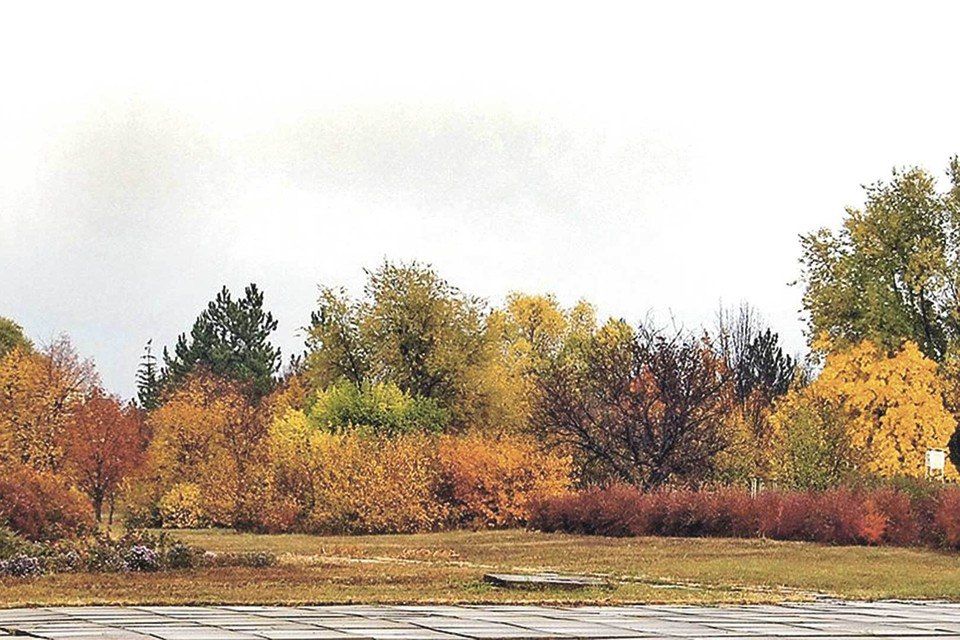 ����� ����� ������������� ����: � �������� �������� ������������� ���� � ������� ��������