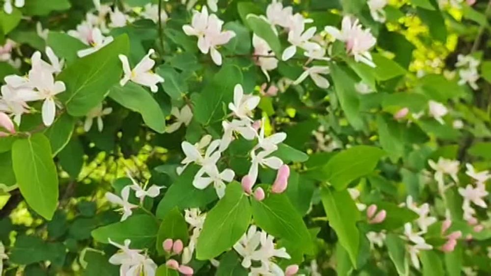 ������� ��������� � �������