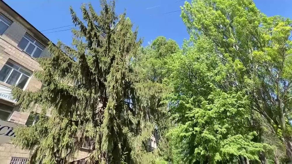 ������� ���������� �������� ����, ��������������� ��������� � ������������ ���������� ������ � �������� ������� ������������� ����